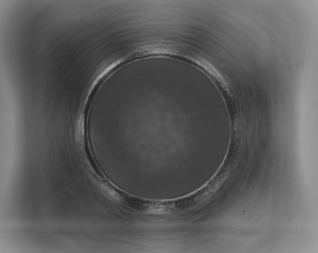 X0000111580790200907301404