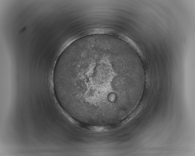 X0000111580794200907301404