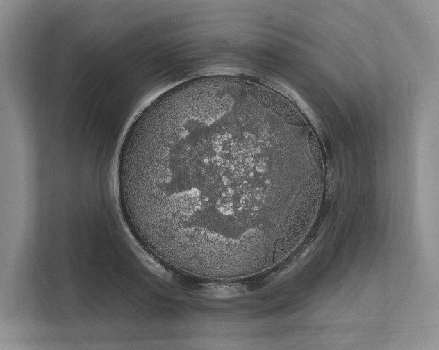 X0000111580795200907301404