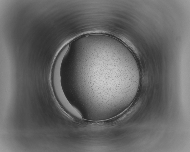 X0000111580797200907301404