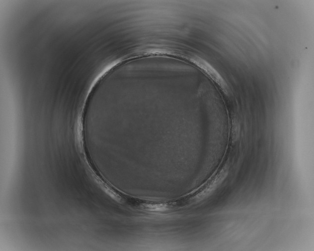 X0000111580798200907301404