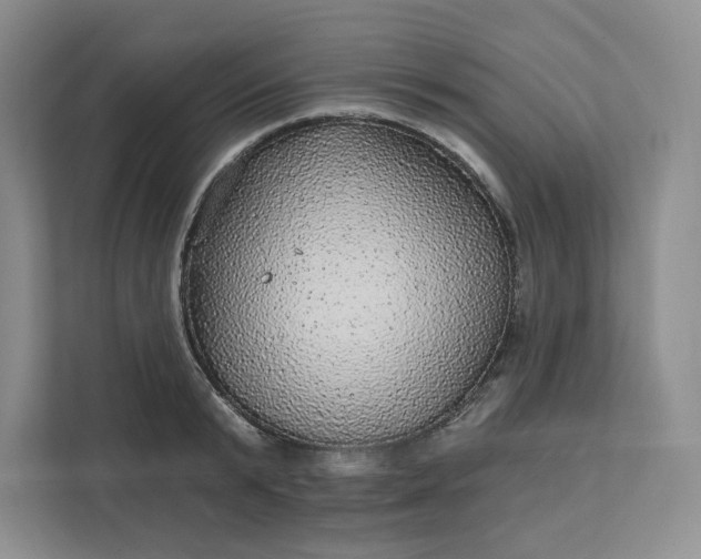 X0000111580799200907301404