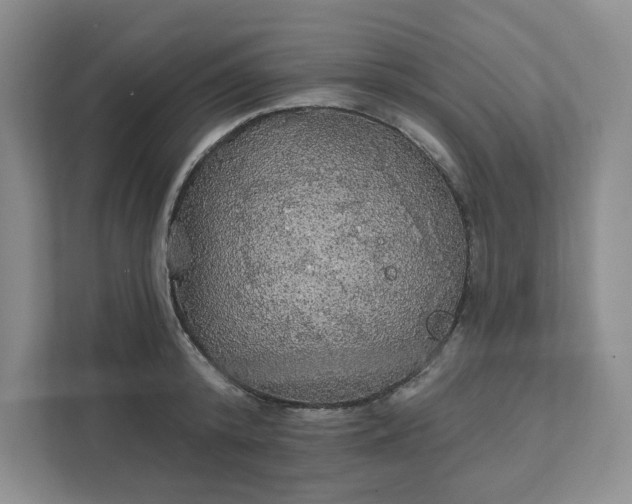 X0000111580800200907301404