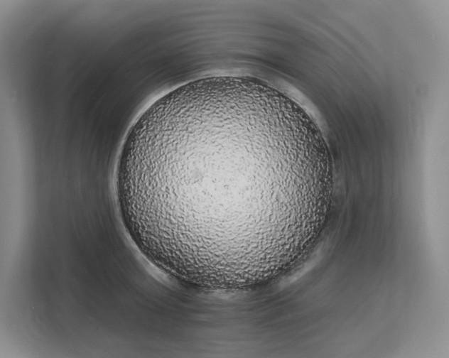 X0000111580803200907301404