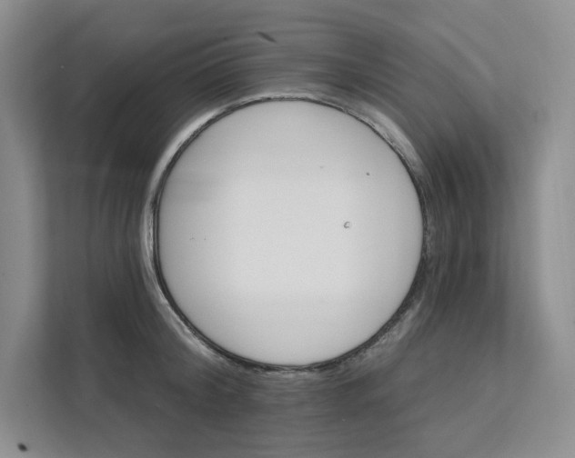 X0000111580804200907301404