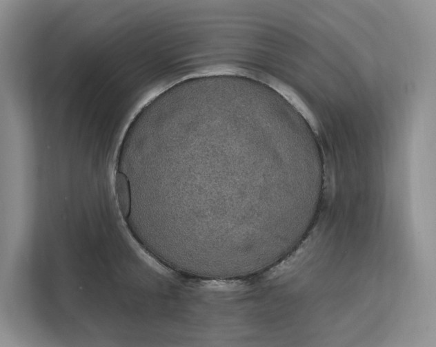 X0000111580805200907301404