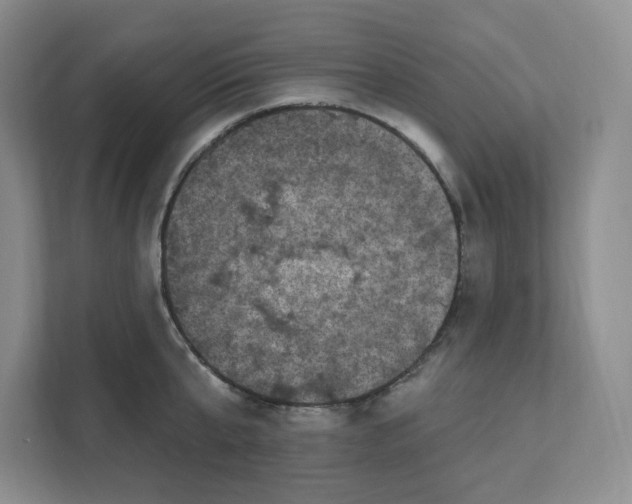 X0000111580807200907301404