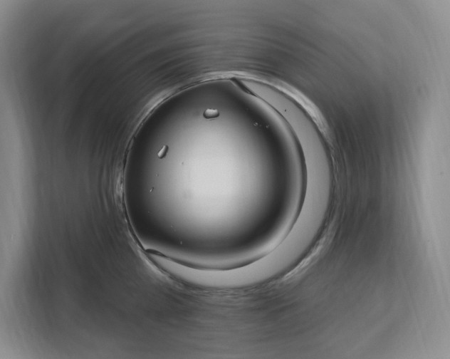 X0000111580809200907301404