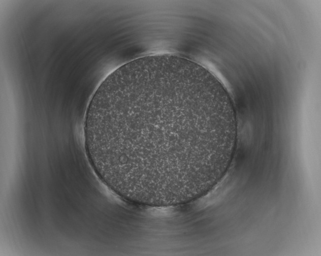 X0000111580810200907301404