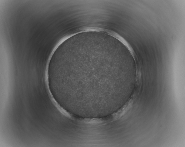 X0000111580811200907301404