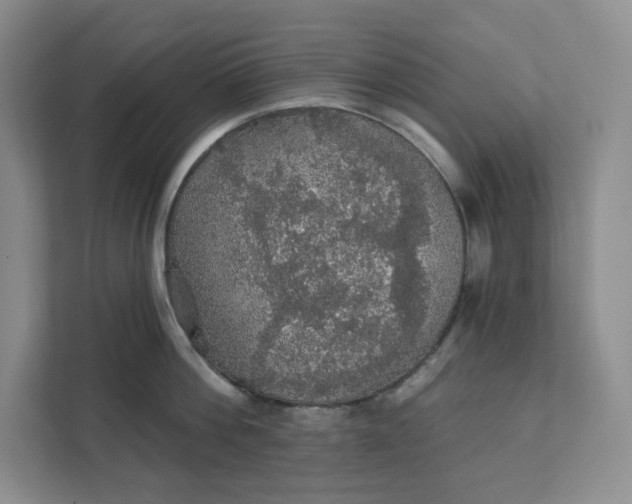 X0000111580812200907301404