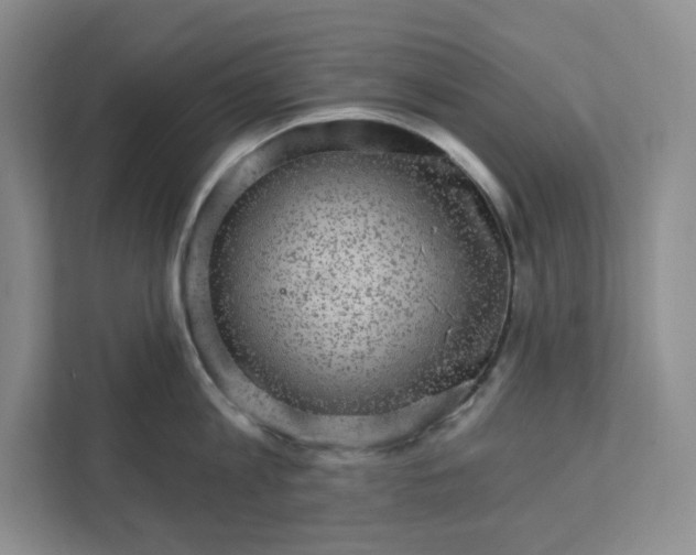 X0000111580813200907301404