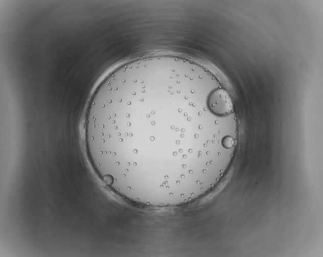 X0000111580814200907301404