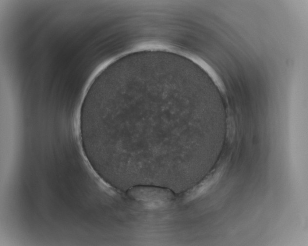 X0000111580815200907301403