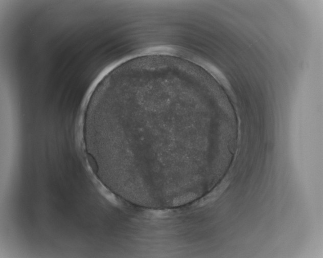 X0000111580816200907301403