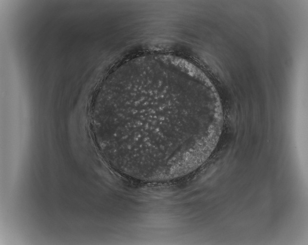 X0000111580817200907301403