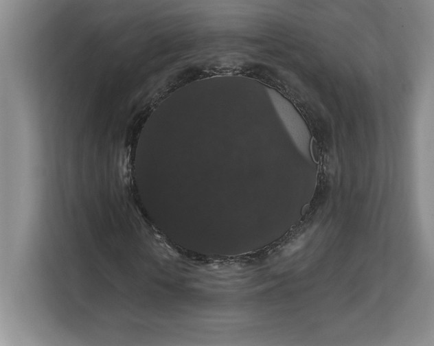 X0000111580818200907301403