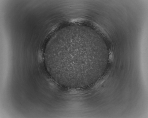 X0000111580819200907301403