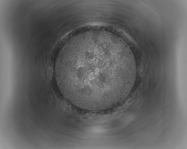 X0000111580821200907301403