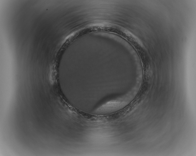 X0000111580822200907301403