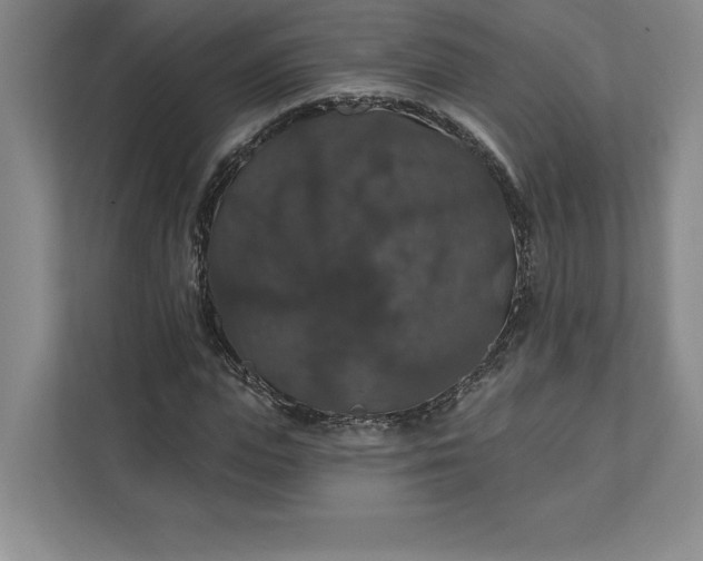 X0000111580823200907301403