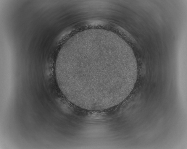 X0000111580824200907301403