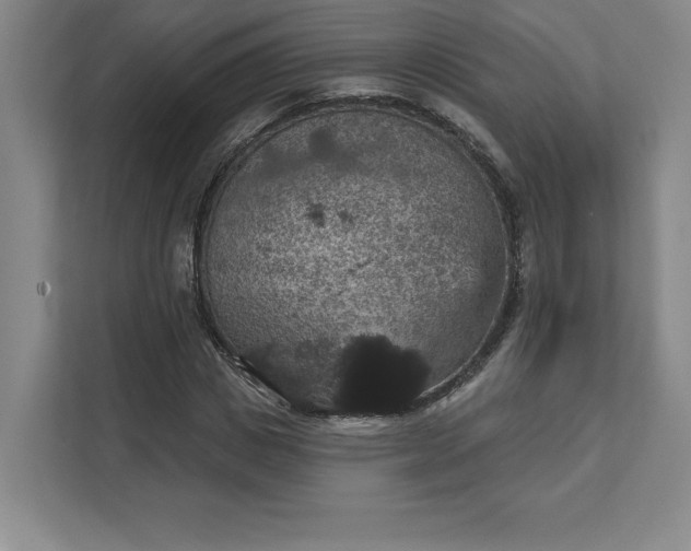 X0000111580825200907301403