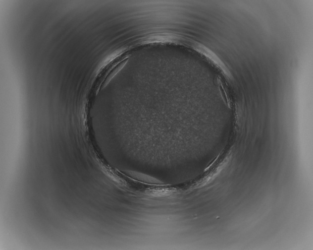 X0000111580826200907301403