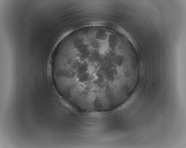 X0000111580827200907301403