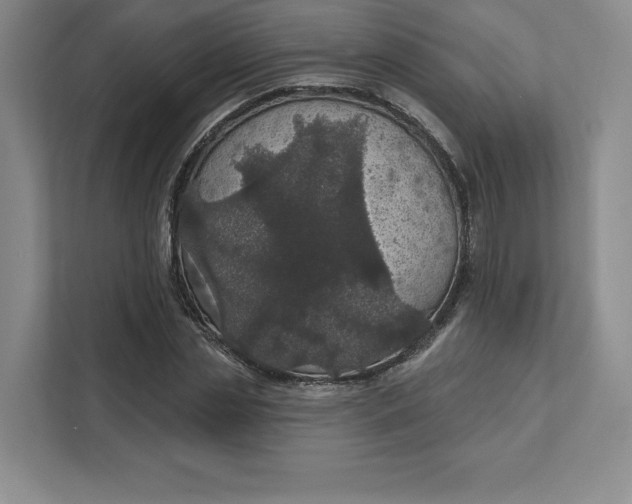 X0000111580829200907301403