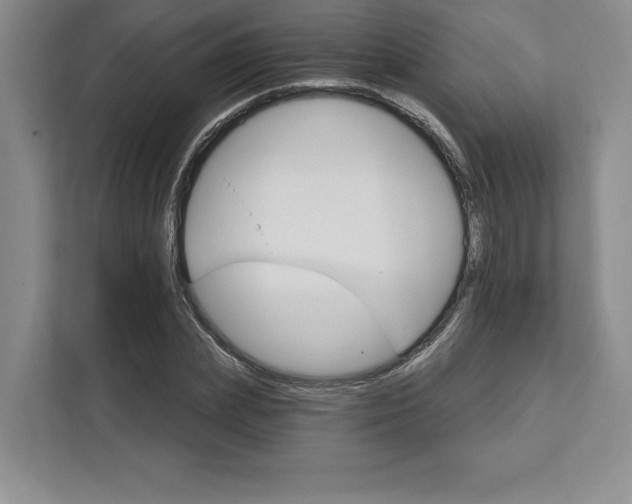 X0000111580831200907301403