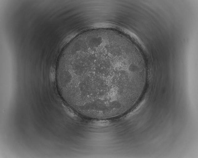 X0000111580833200907301403