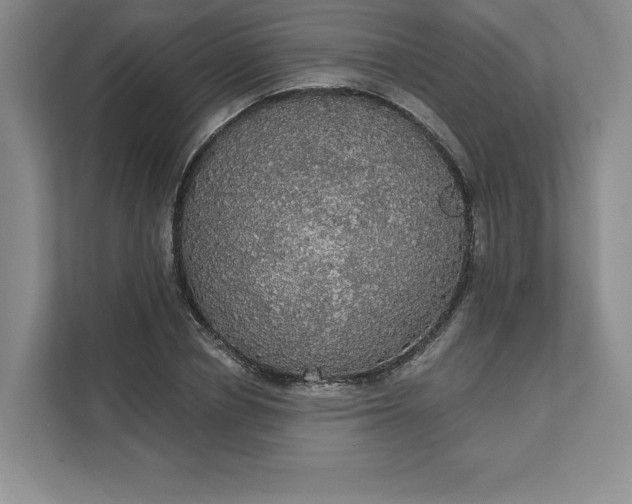 X0000111580834200907301403