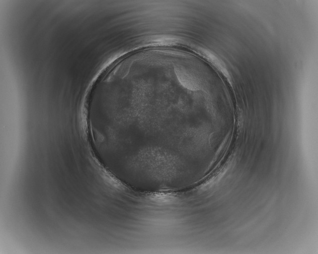 X0000111580835200907301403