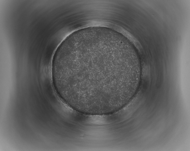 X0000111580836200907301403