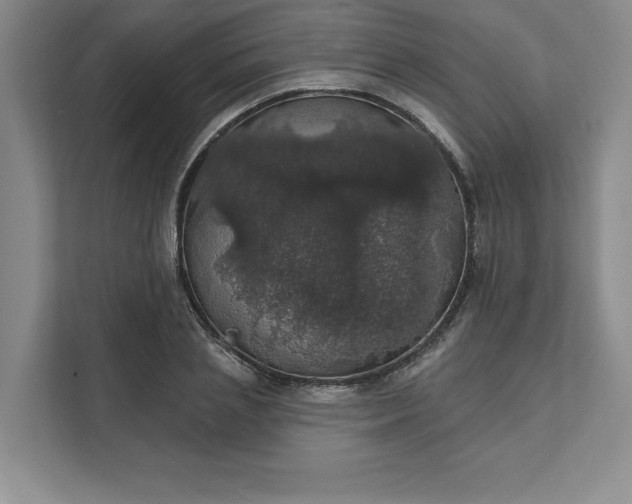 X0000111580837200907301403