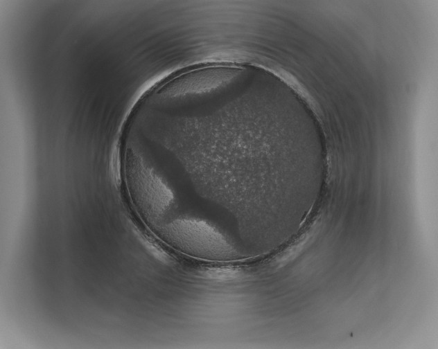 X0000111580838200907301403