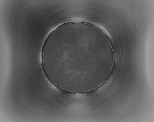 X0000111580839200907301403