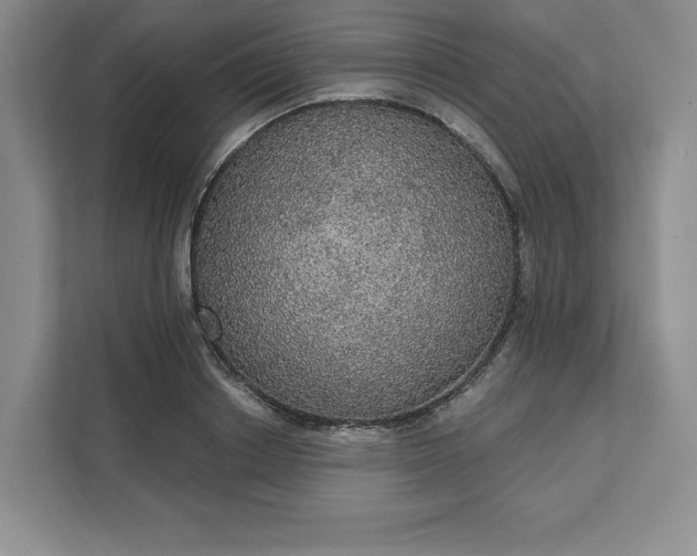 X0000111580842200907301403