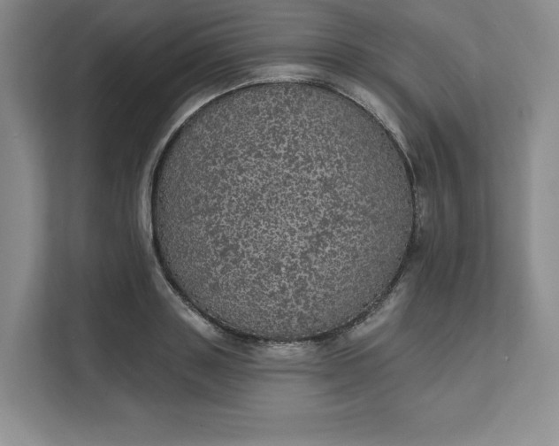 X0000111580843200907301403