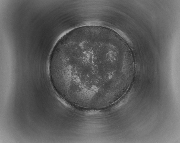 X0000111580846200907301403