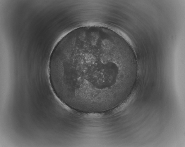 X0000111580847200907301403