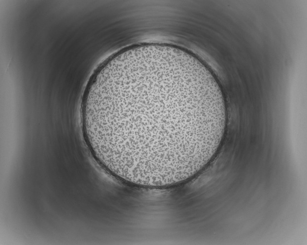 X0000111580848200907301403