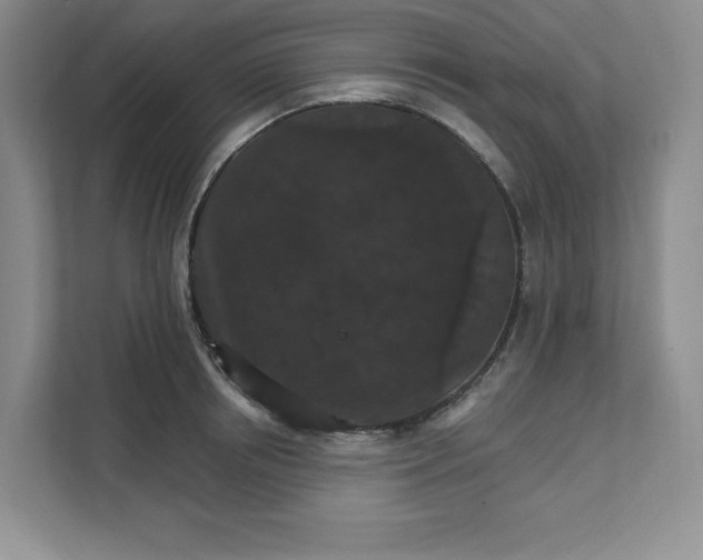 X0000111580850200907301403