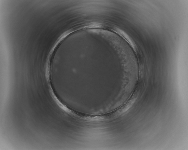 X0000111580851200907301403