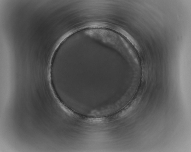 X0000111580853200907301403