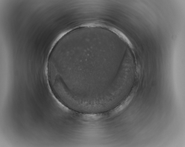 X0000111580855200907301403