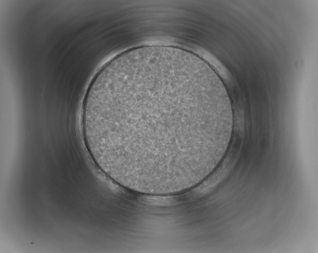 X0000111580856200907301403