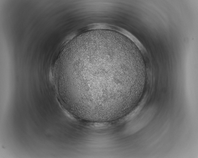 X0000111580857200907301403