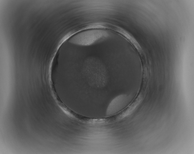 X0000111580858200907301403